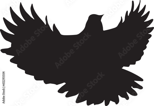 Flying pigeon silhouette on white background