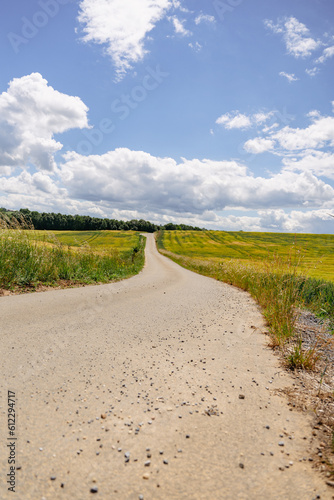 Country road to the horizon trough landscape fields