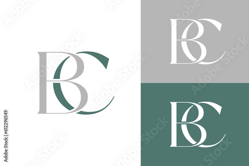 Initial BC luxury with circle logo design template element stock vector