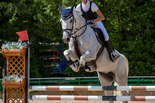 Show jumping competition on horseback. Horse Jumping, Equestrian Sports, Show Jumping themed photo. 