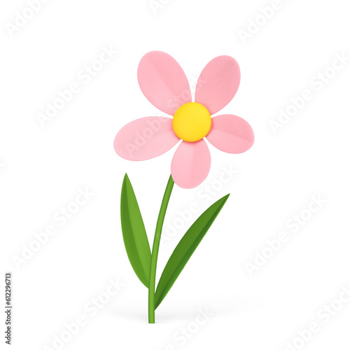 Cute pink chamomile romantic beauty organic fresh natural flower elegant decor 3d icon vector