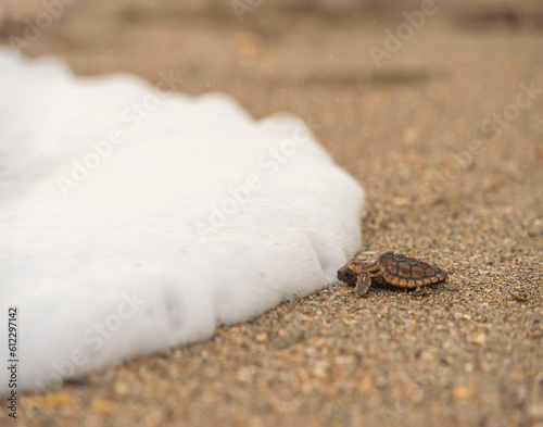 Fotografia Now You See Me