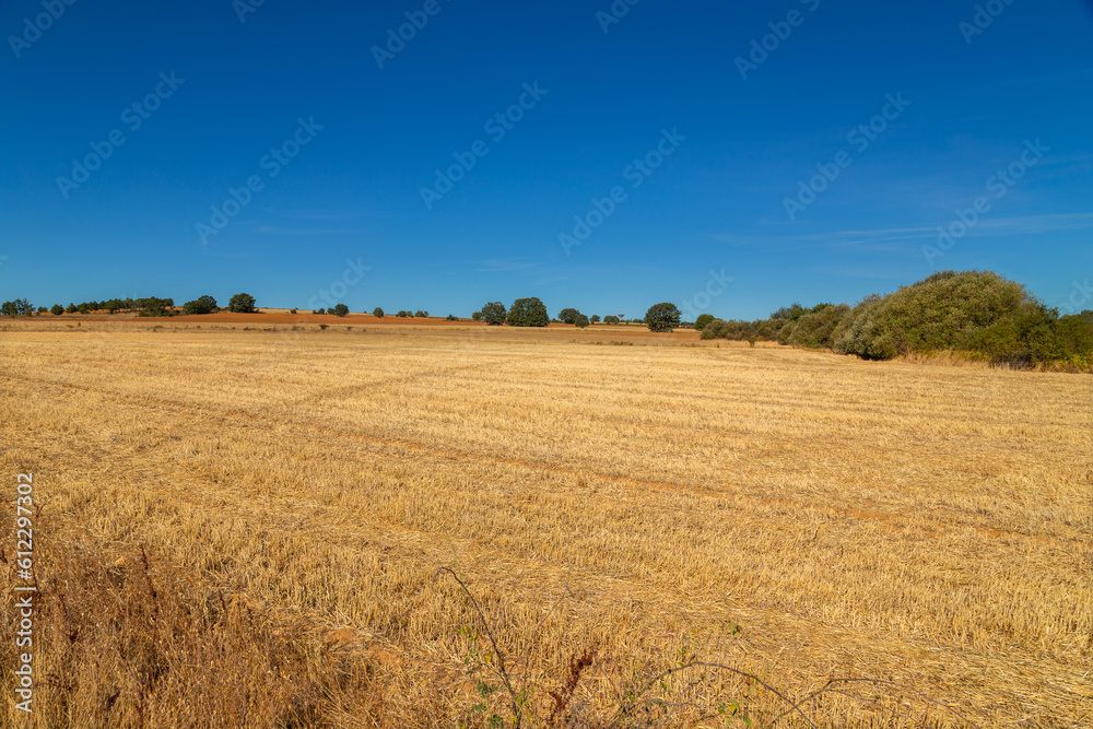 view of a crop field in Spain view of a crop field in Spain