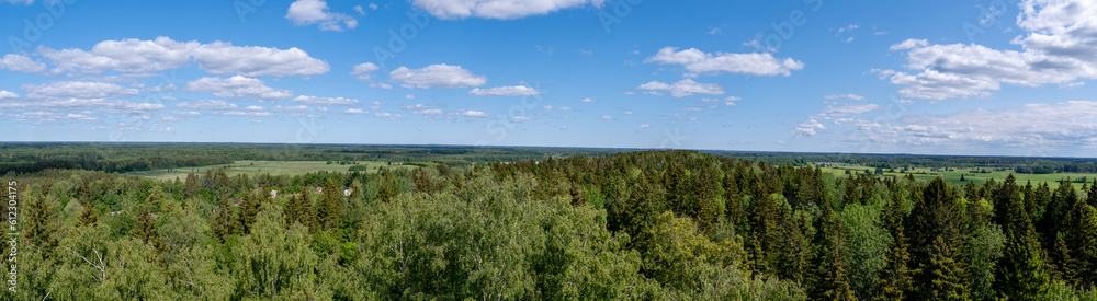 panoram view of estonian landscape
