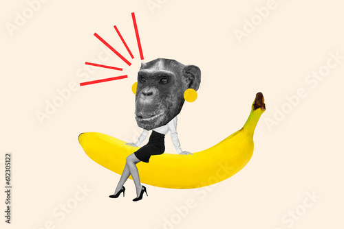 Photography Collage minimal picture of funky funny monkey head lady worker sitting big banan