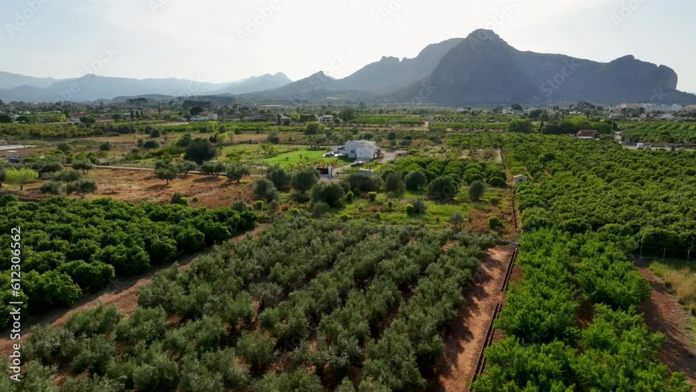 Mountains with cultivated vineyards farmland in Spain Mountains with cultivated vineyards farmland in Spain