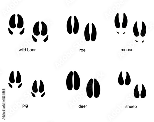 Traces of ungulate Animals, animal track. Traces of elk, wild boar, deer, roe deer. Vector illustration.