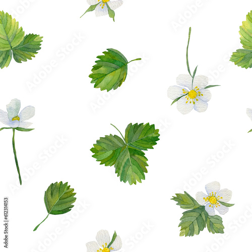 Seamless pattern with strawberries and green leaves. Flowers are white and green leaves background. A hand-drawn illustration of food. Fruit print. For greetings, postcards, logo.