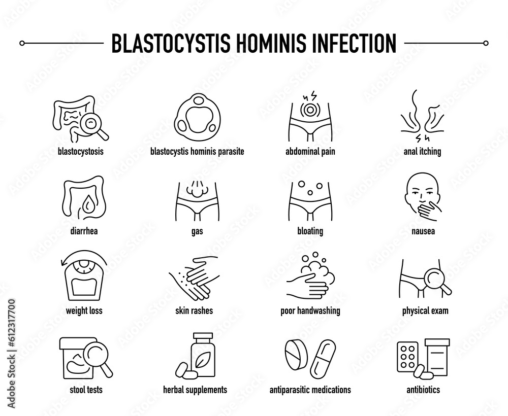 Blastocystis Hominis Infection symptoms, diagnostic and treatment vector icon set. Line editable medical icons.