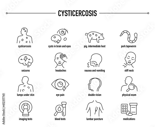 Cysticercosis symptoms, diagnostic and treatment vector icon set. Line editable medical icons.