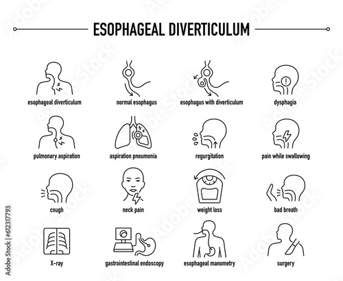Esophageal Diverticulum symptoms, diagnostic and treatment vector icon set. Line editable medical icons. photo