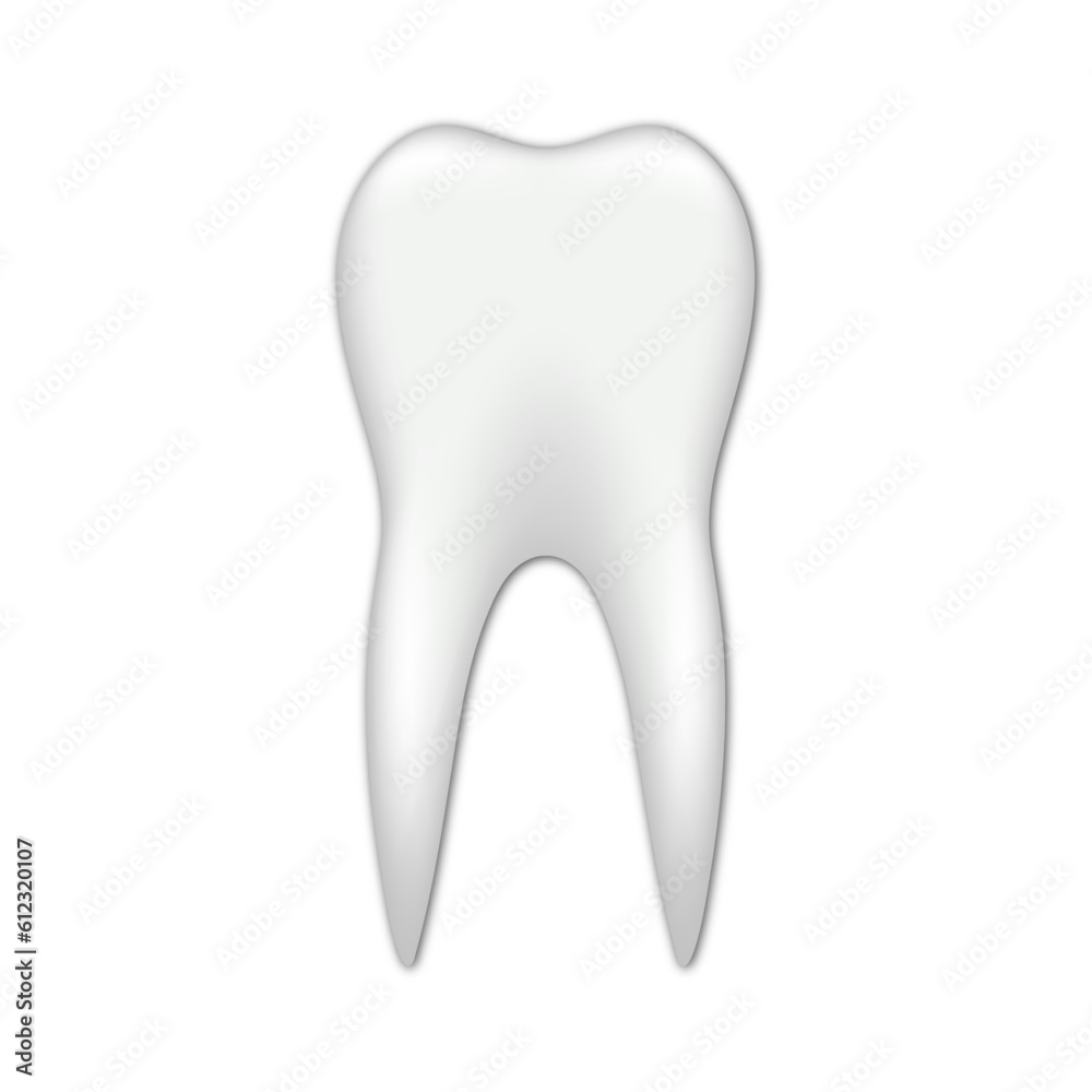 Vector realistic tooth icon illustration Vector realistic tooth icon illustration