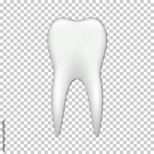 Vector realistic tooth icon illustration