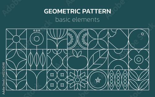 Geometric food line pattern. Natural fruit vegetable plant simple shape, abstract eco agriculture products. Vector design