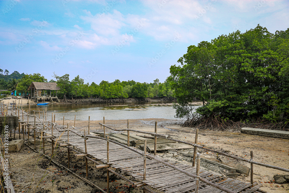 Fototapeta premium Destroyed bamboo bridge across the river to the Morgan village.