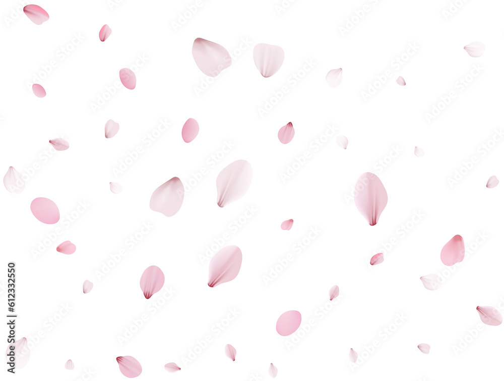 Flying Spring Cherry. Flying Spring Cherry.