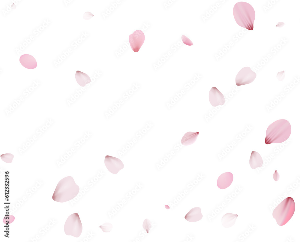 Flying Spring Cherry. Flying Spring Cherry.