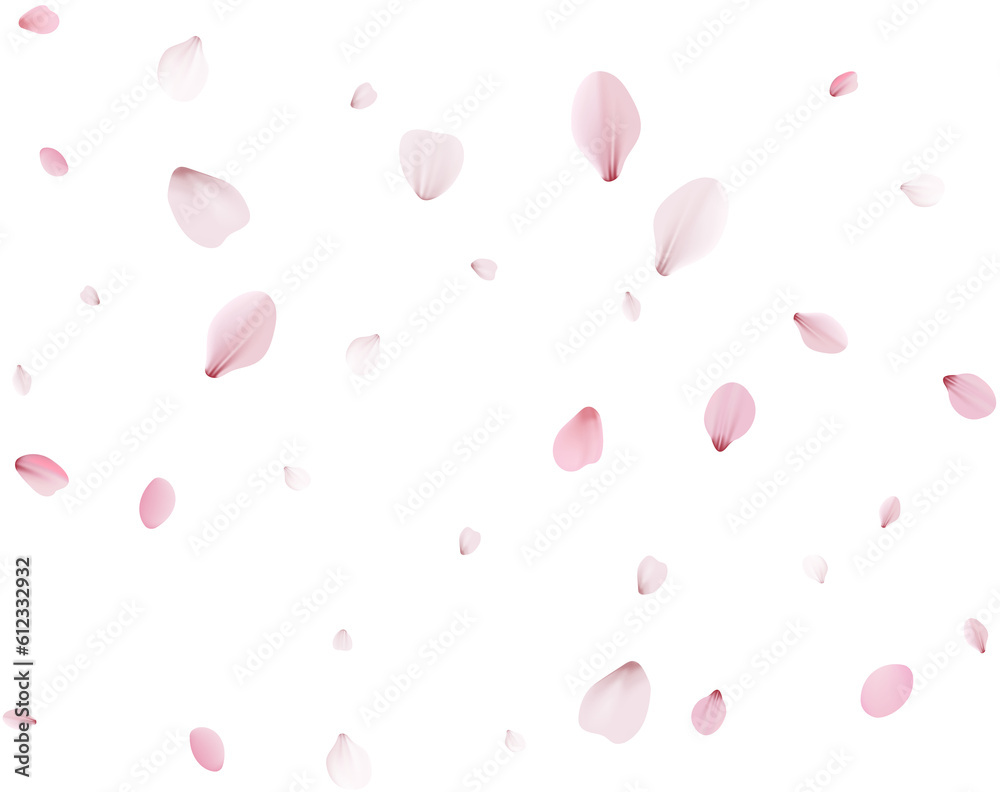 Flying Spring Cherry. Flying Spring Cherry.