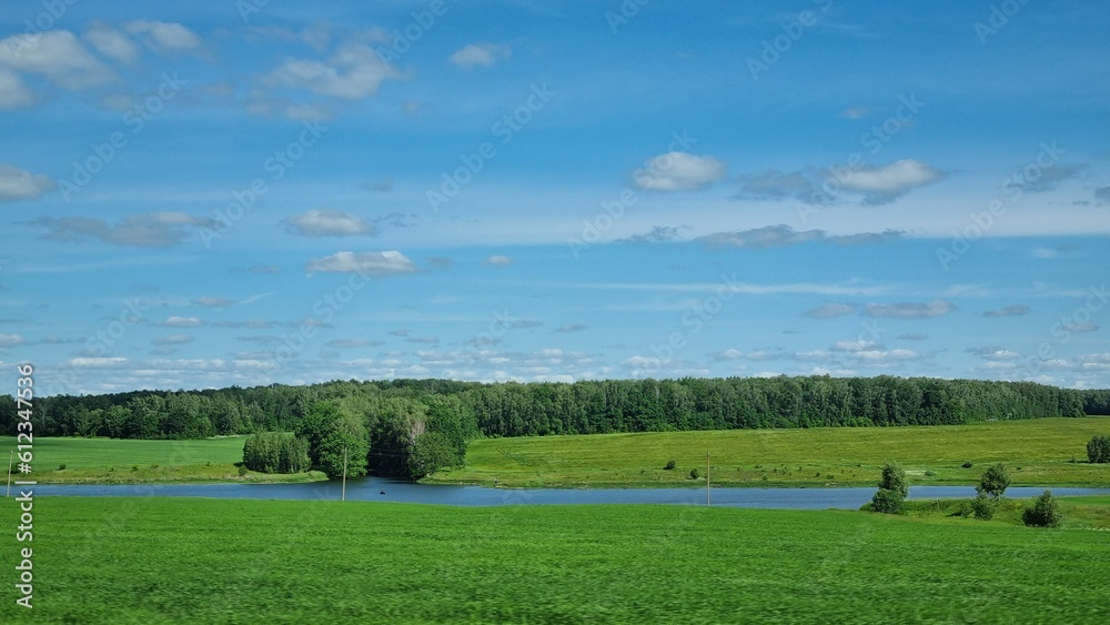 landscape with trees and blue sky