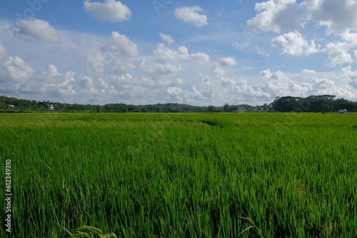 Vast Landscape with Green Fields, Agriculture and Transportation Against a Cloudy Sky