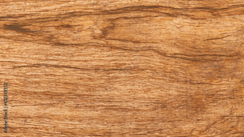 Walnut Tree Wood Texture Background