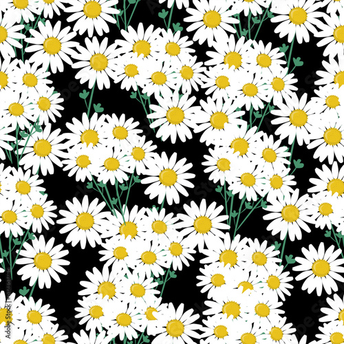 Beautiful white daisy, vector illustration, seamless pattern