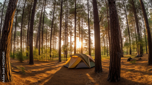 Camping and tent under the pine forest in sunset. Generative Ai