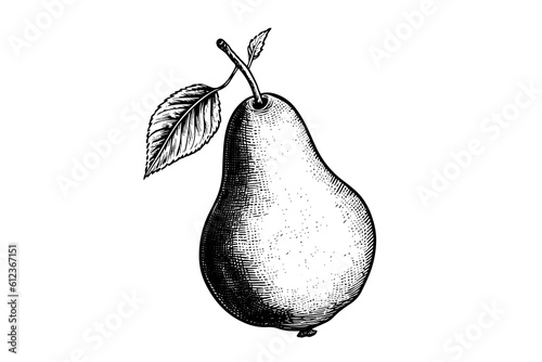 Pear. Ink sketch isolated on white background. Hand drawn vector illustration.