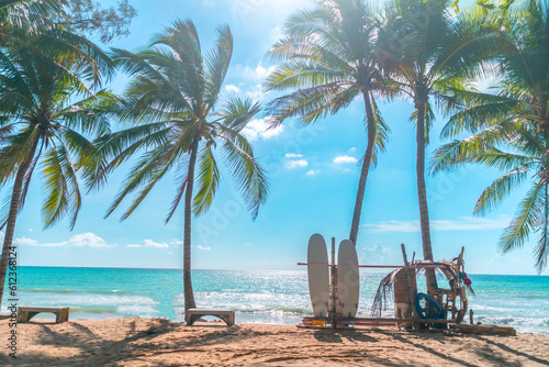 Fototapeta Naklejka Na Ścianę i Meble -  Surfboards beside coconut trees at summer beach with sun light and blue sky background.