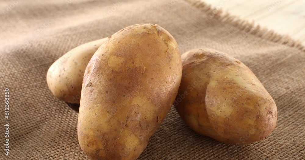 raw potatoes on burlap. fresh vegetables in rustic style. farm product. potato harvest. raw potatoes on burlap. fresh vegetables in rustic style. farm product. potato harvest.