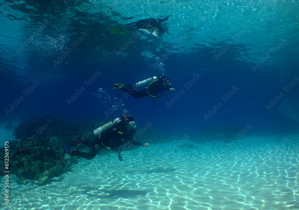 Fototapeta premium some divers exploring a coral reef in the crystal clear waters of the caribbean sea