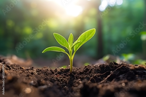 Young Plant growing under soft morning sunlight, organic, sustainability, protect environment, save ecosystem, earth day, development concept. Generative AI