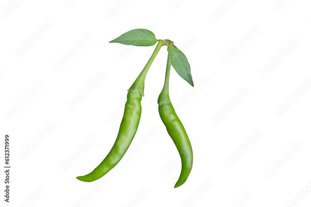Fototapeta premium Fresh chili Isolated on white 