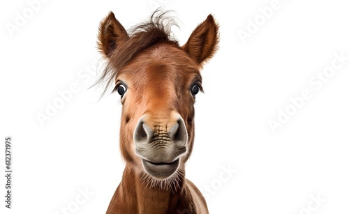 Smiling cheerful horse on a white background. Generative AI.