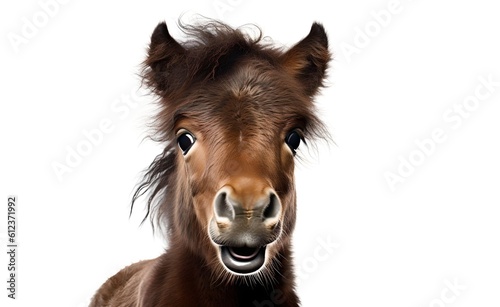 Smiling cheerful horse on a white background. Generative AI.