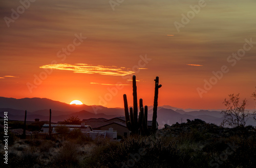 Setting Sun In An Arizona Neighborhood With Cactus Silhouette © Ray Redstone
