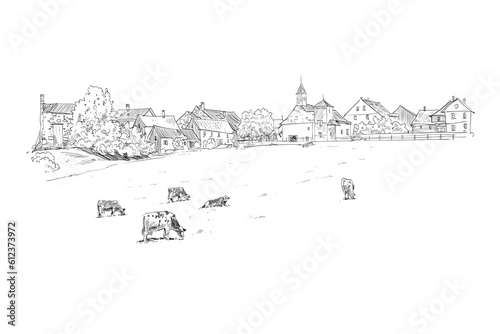 Farm sketch. Cows are grazing in a meadow. Rural landscape hand drawn vector illustration.