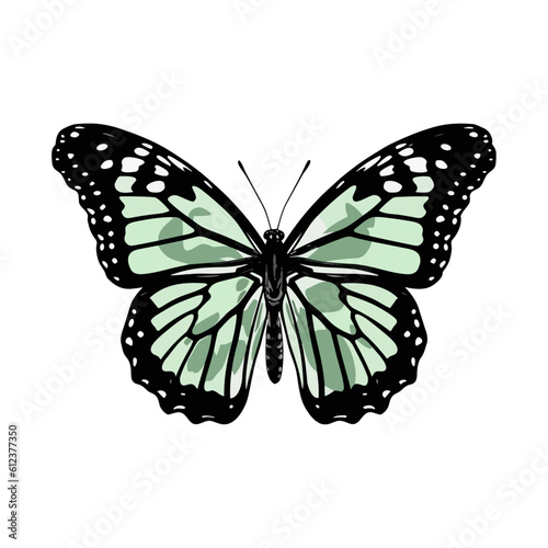 Beautiful colorful cartoon exotic vector isolated on white pastel green butterfly with colorful wings and antennae sticker 