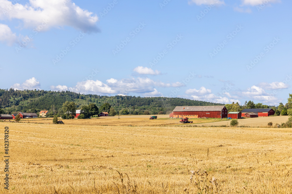 Farm in a field in the Swedish countryside