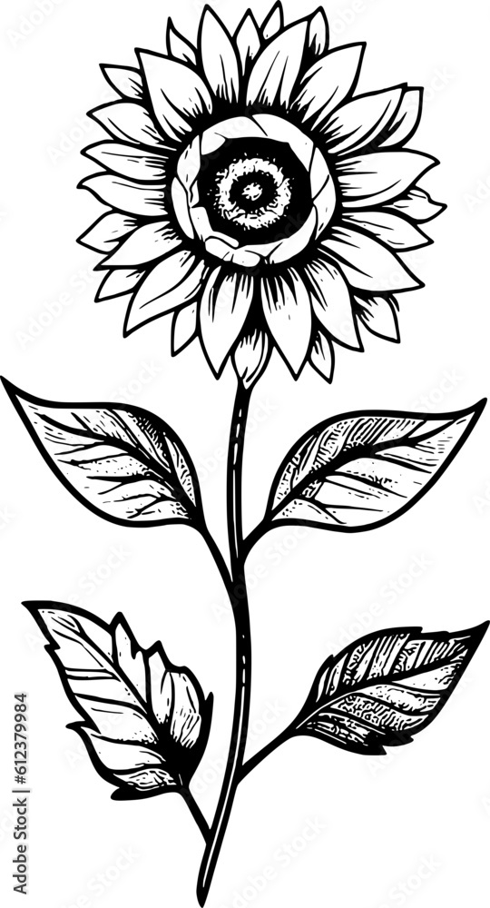 Sunflower Line Art Vol.5 Sunflower Line Art Vol.5