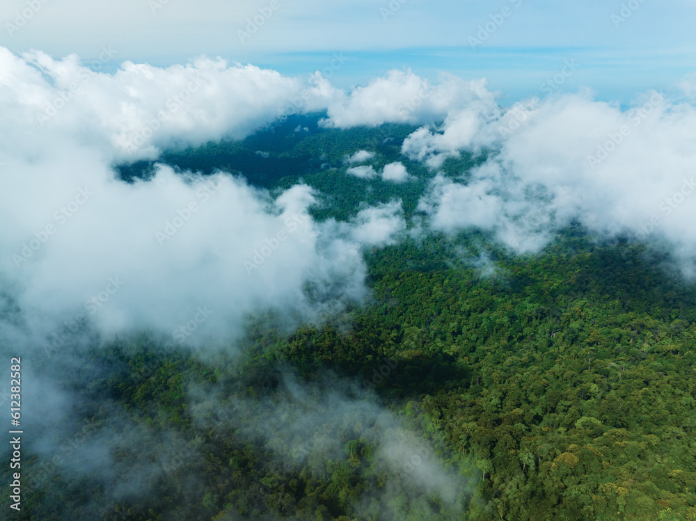 Obraz premium Aerial view of flowing fog waves on mountain tropical rainforest,Bird eye view image over the clouds Amazing nature background with clouds and mountain peaks in Thailand