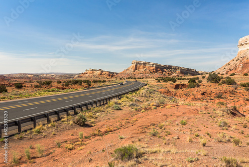 Highway in the wilderness area in New Mexico