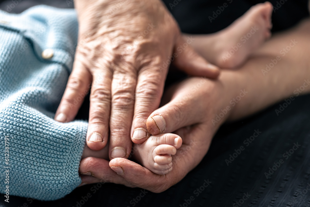 Fototapeta premium Feet of a newborn baby in the hands of a grandmother, close-up.