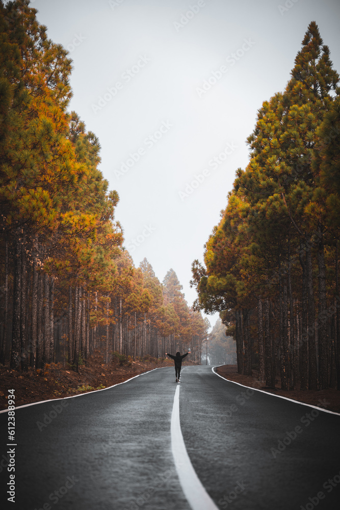 Stunning view of a girl walking on a road that crosses a beautiful forest. Pico de las Nieves, Gran Canaria, Canary Islands..