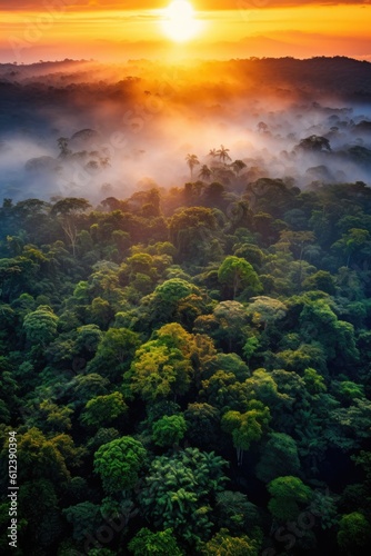 Amazon forest at sunset. Generative AI © piai