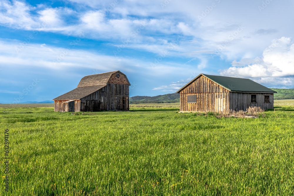 A large wood frame gambler barn and a garage in a field of green grass and mountains in the background, Thomas Murphy Barn, Mormon Row, Grand Tetons National Park, Wyoming A large wood frame gambler barn and a garage in a field of green grass and mountains in the background, Thomas Murphy Barn, Mormon Row, Grand Tetons National Park, Wyoming