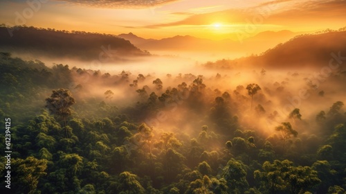 Amazon forest at sunset. Generative AI © piai