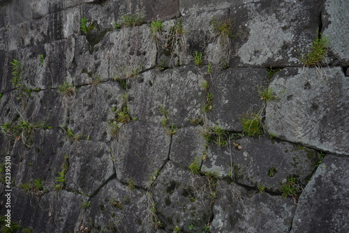 Wall of Tsurumaru Castle Ruins in Kagoshima, Japan - 日本 鹿児島 鶴丸城 御楼門 城壁