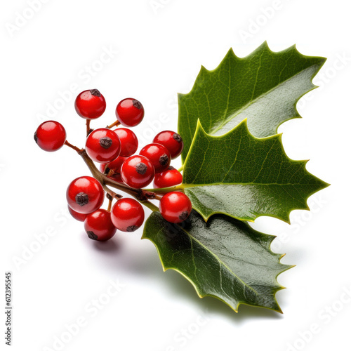 Holly berry with leaves isolated. Illustration AI Generative.