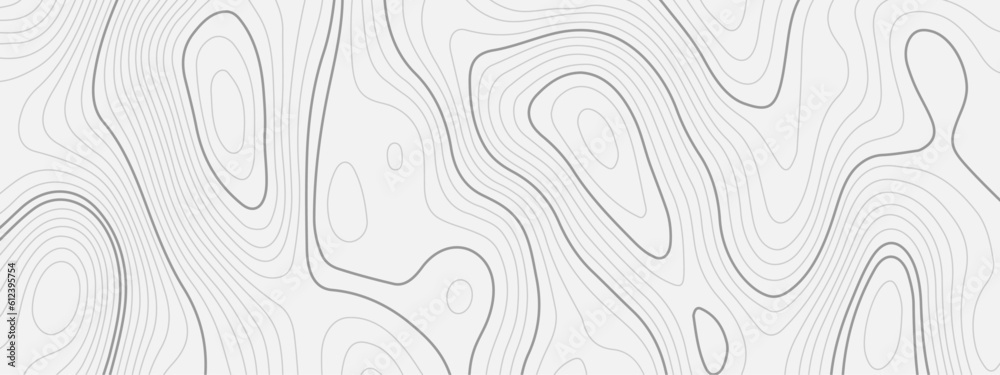 Abstract wave curved lines topographic contours map background. Abstract geographic wavy and curve grid lines map background.